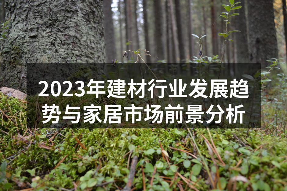 2023年建材行业发展趋势与家居市场前景分析