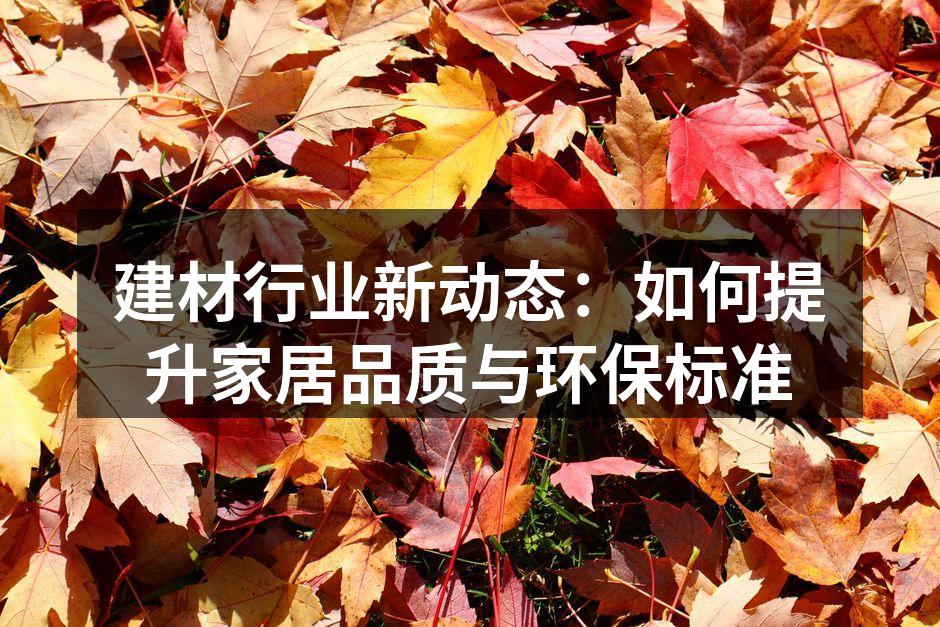 建材行业新动态:如何提升家居品质与环保标准